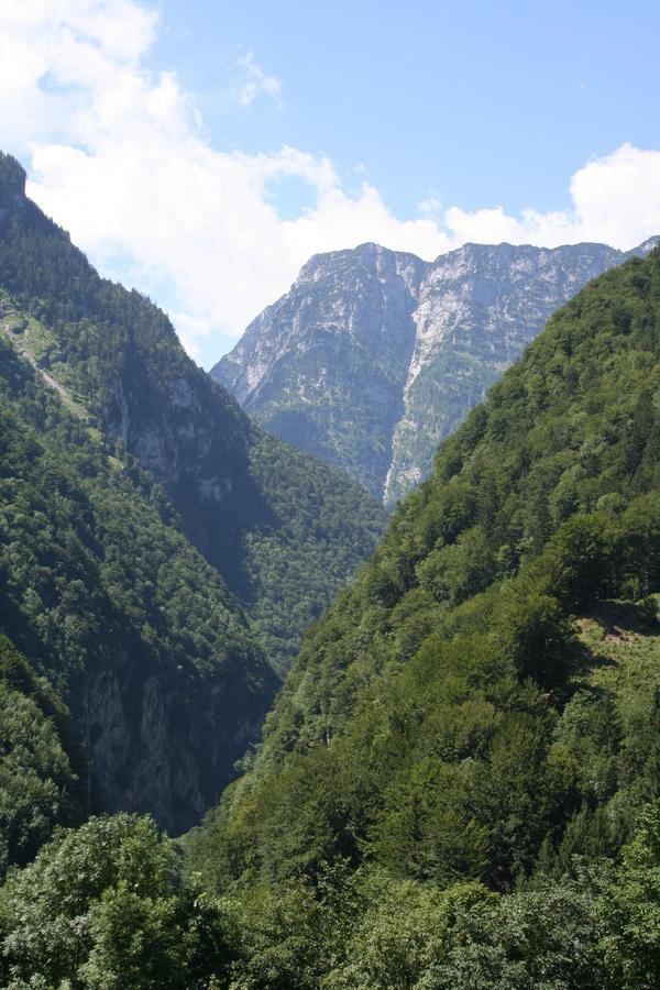 Hotel Pass Lueg Golling an der Salzach Dış mekan fotoğraf