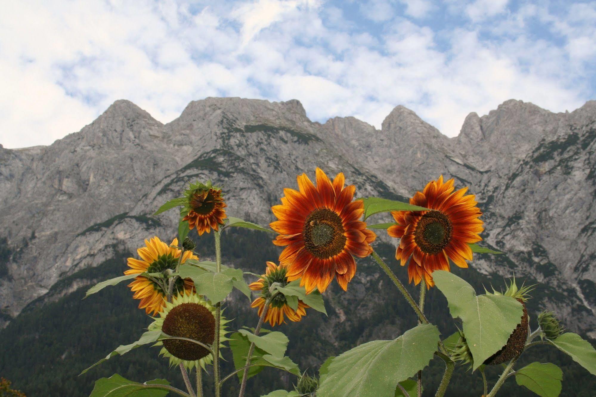 Hotel Pass Lueg Golling an der Salzach Dış mekan fotoğraf